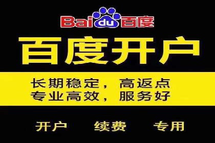 探索百度SEM竞价推广的奥秘：某行业巨头的成功经验