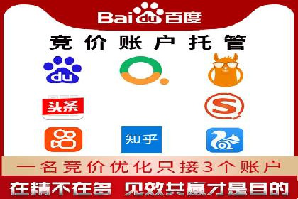 知名SEM代运营公司案例解析